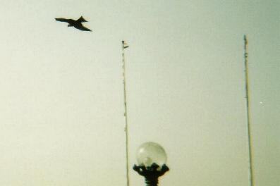 A bird of prey swoops low.