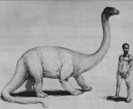 Mokele-Mbembe: A Busca Por Um Dinossauro Vivo - 2023